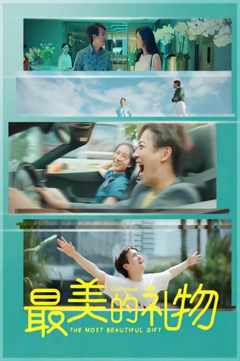 Movie poster for 最美的礼物 (2022)