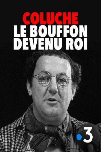 Coluche : le bouffon devenu roi poster
