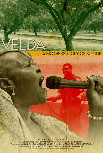 Movie poster for Velda: A Mom's Story of Suicide (2024)