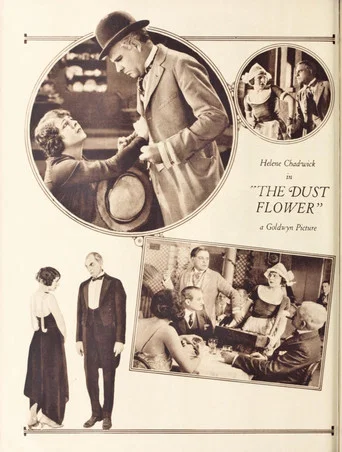 Movie poster for The Dust Flower (1922)