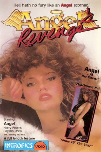 Movie poster for Angel's Revenge (1986)