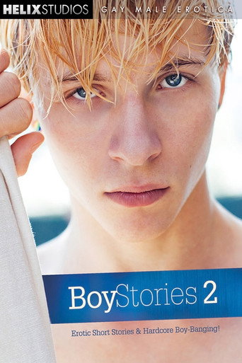 Movie poster for Boy Stories 2 (2014)