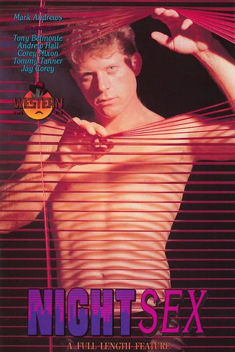 Movie poster for Night Sex: A Private Affair (1993)