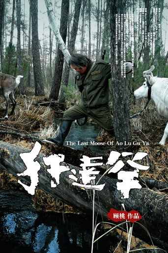 Movie poster for The Last Moose Of Ao Lu Gu Ya (2013)