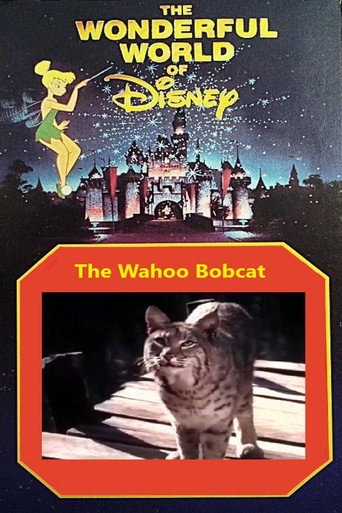 Movie poster for The Wahoo Bobcat (1963)