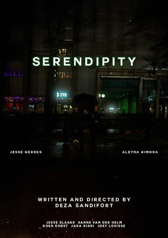 Movie poster for Serendipity (2024)