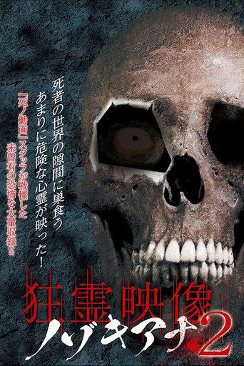 Movie poster for Crazy Spirit Video Nozokiana 2 (2016)