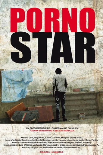 Movie poster for Porno Star (2011)