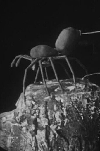 To Demonstrate How Spiders Fly poster