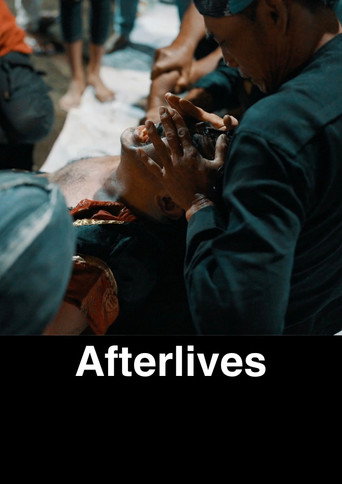 Movie poster for Afterlives (2024)