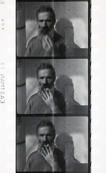 Movie poster for Les films de Brancusi (1939)