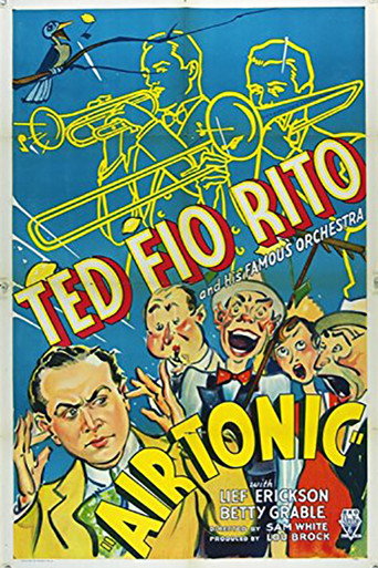 Movie poster for Air Tonic (1933)