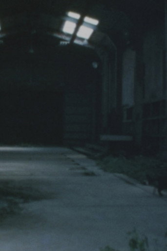 Movie poster for Ruins of Ōkubo (1990)
