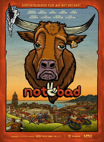 Movie poster for Not2Bad (2016)