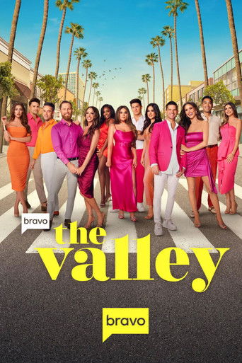 The Valley poster
