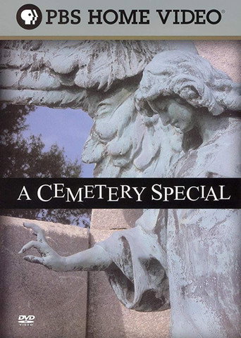 Movie poster for A Cemetery Special (2005)