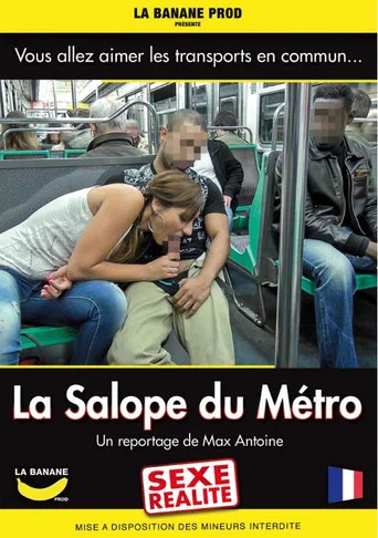 Movie poster for La Salope du Métro (2013)