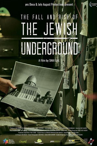 Movie poster for The Jewish Underground (2017)