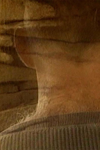 Memories of Water poster