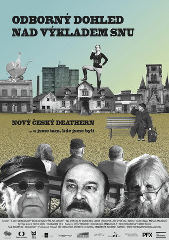 Movie poster for Odborný dohled nad výkladem snu (2018)