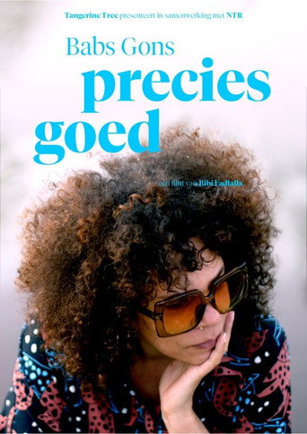 Movie poster for Babs Gons - Precies Goed