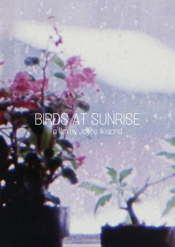 Movie poster for Birds at Sunrise (1986)