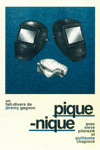 Movie poster for Picnic (2025)