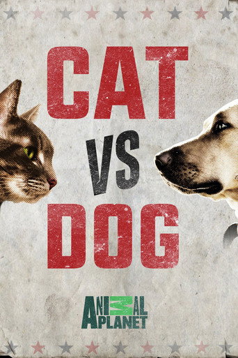 Series poster for Cat vs. Dog (2017)
