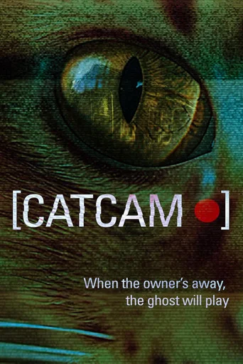 Movie poster for Cat Cam (2026)