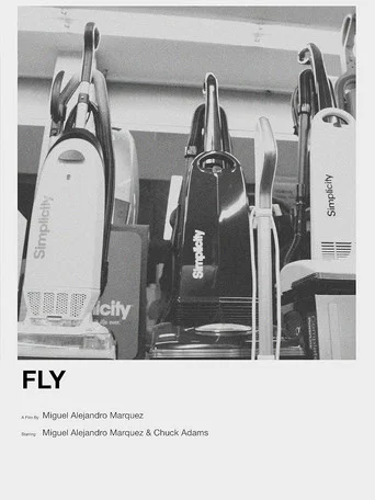 Movie poster for Fly (2021)