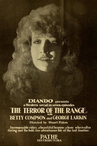 Movie poster for The Terror of the Range (1919)