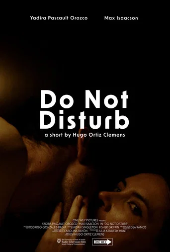 Movie poster for Do Not Disturb