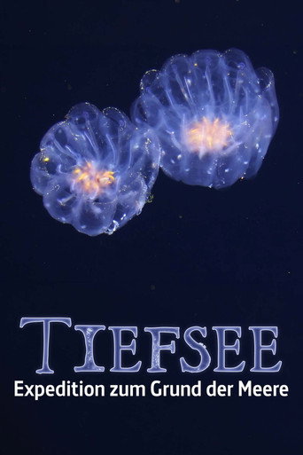 Movie poster for Faszination Tiefsee - Expedition zum Grund der Meere (2026)