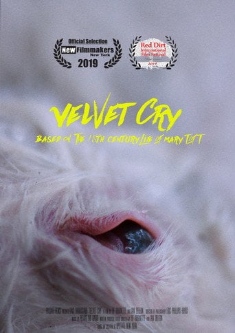 Movie poster for VELVET CRY (2019)