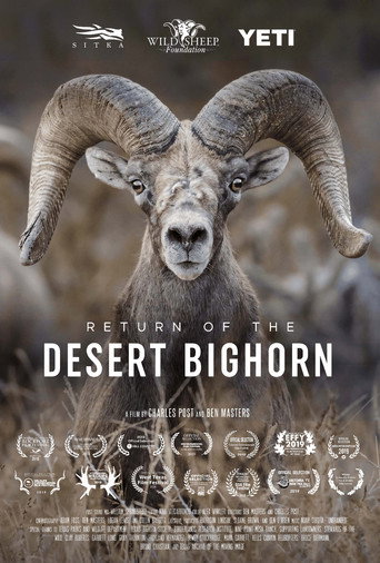 Movie poster for Return of the Desert Bighorn (2018)