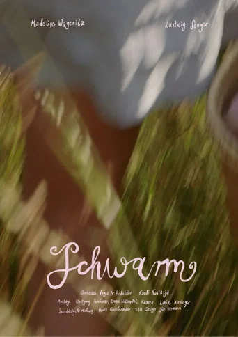 Movie poster for Schwarm (2026)