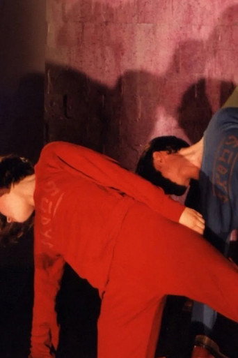 Movie poster for Pas de Stoelen (1994)