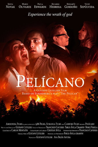 Movie poster for Pelícano (2019)