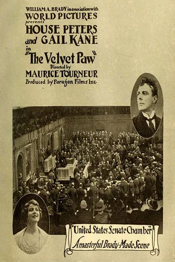 Movie poster for The Velvet Paw (1916)