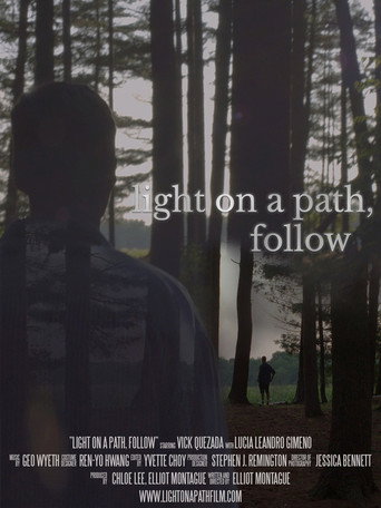 Movie poster for Light on a Path, Follow (2019)