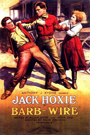 Movie poster for Barb Wire (1922)
