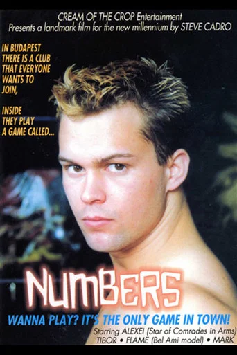 Movie poster for Numbers (1999)