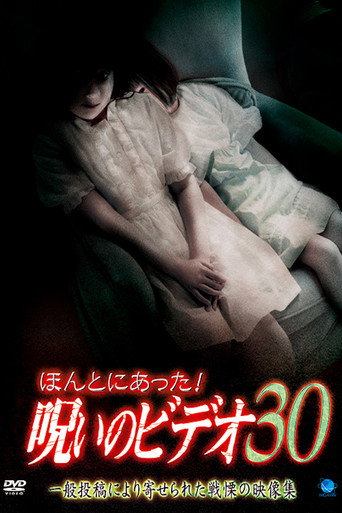 Movie poster for Honto ni Atta! Noroi no Video 30 (2008)