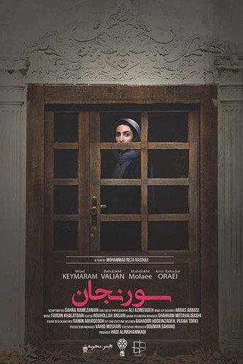 Movie poster for Soranjan (2019)