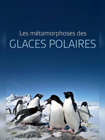 Movie poster for Les métamorphoses des glaces polaires : Un défi pour les écosystèmes (2024)