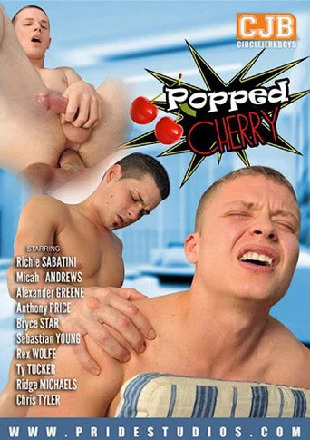 Movie poster for Popped Cherry (2015)
