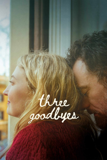 Movie poster for Three Goodbyes (2025)
