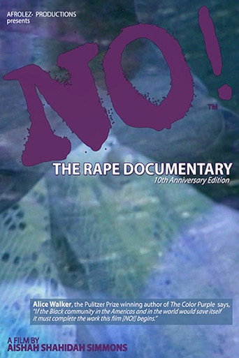 Movie poster for No! The Rape Documentary (2006)