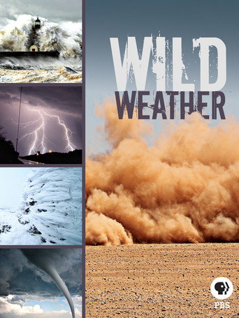 Movie poster for Wild Weather