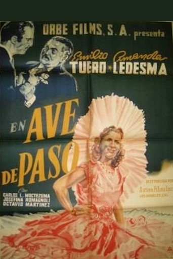 Movie poster for Ave de paso (1948)